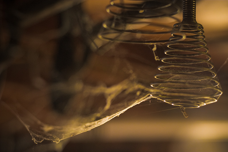 A spider web-covered twirl whisk hanging from the rafters.
