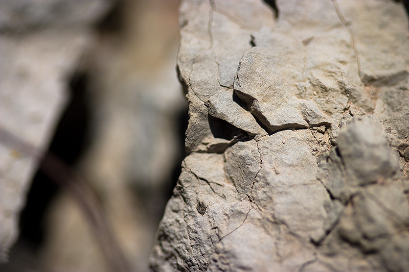 The multifaceted surface of a rock.