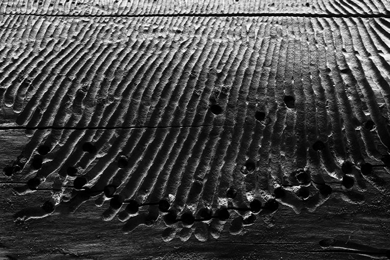 Lines chewed in wood.