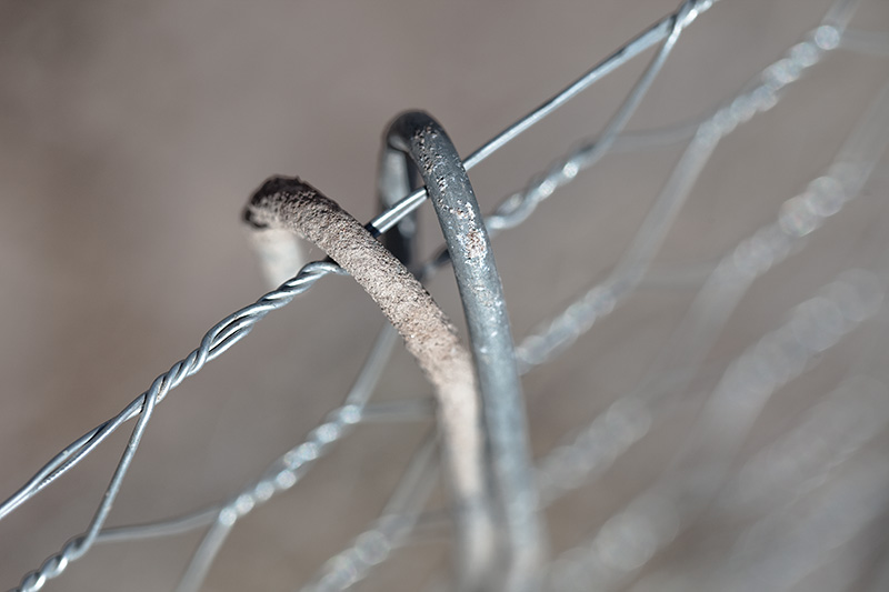 Two bent wire hooks hanging off a chicken wire fence.
