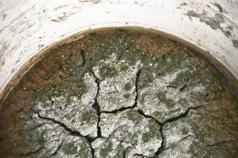 Slimy, moldy clay inside a bucket, resembling scorched, cracked earth after a devastating nuclear incident.