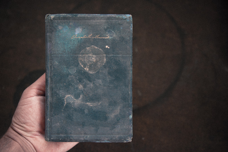 A hand holding an old, water-stained book.