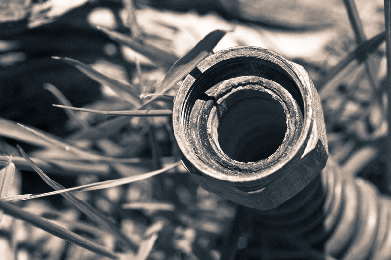The end of a flexible copper pipe, among grass.