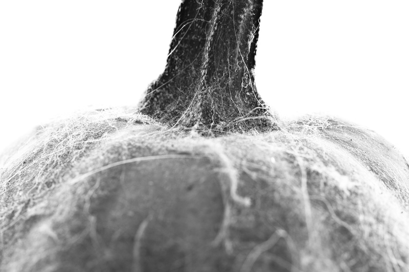 A hair- and dirt-covered squash.