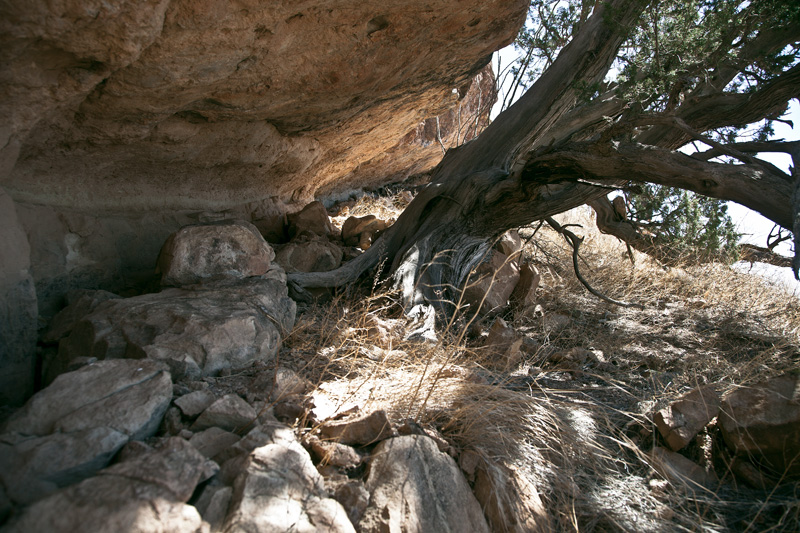 A rock shelter with a tree and rocks to sit on.