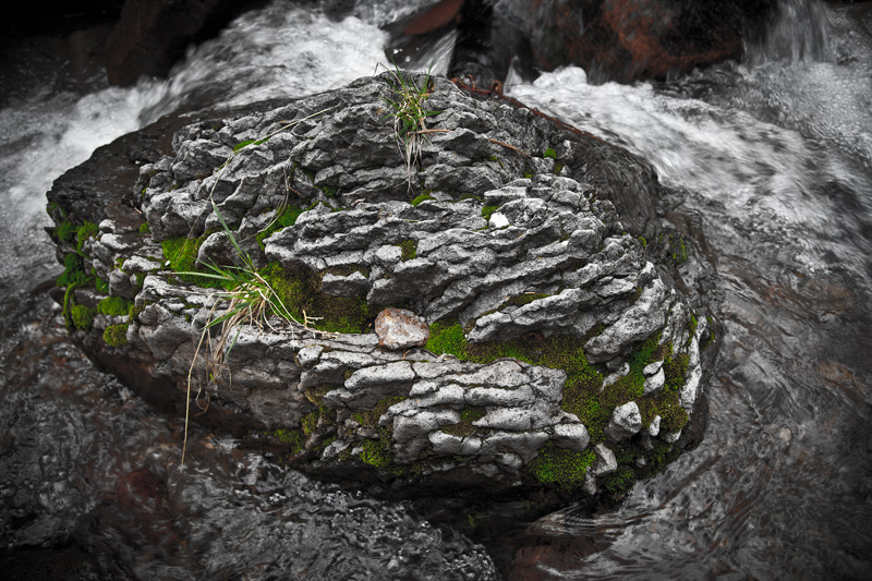 A mossy rock outcrop in the middle of Rucker Creek, in the Sky Island of the Chiricahua Mountains.