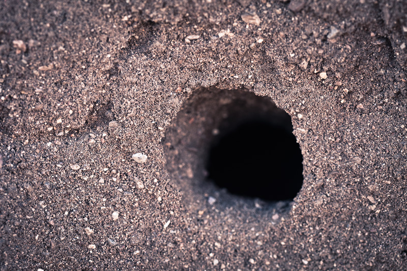 A hole in the ground.