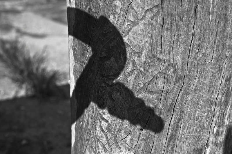 A shadow resembling a firefighting nozzle.
