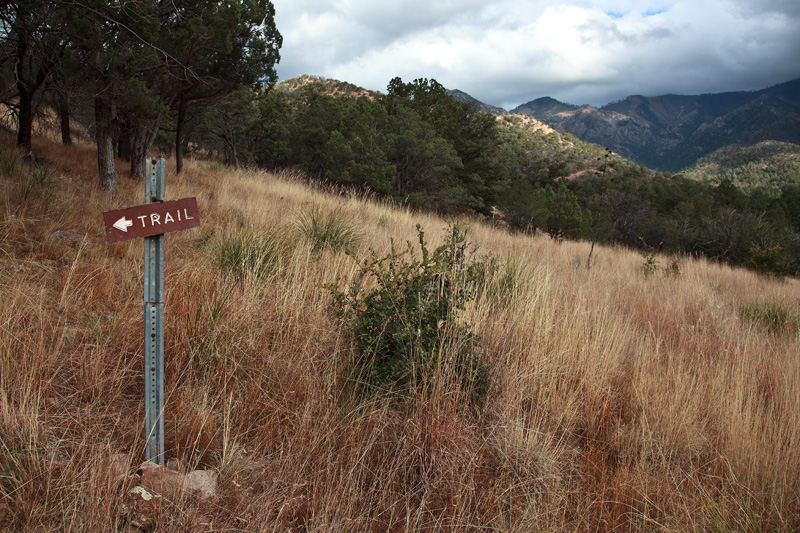 A trail sign along the Turkey Pen Trail in the Chiricahua Mountains.