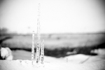 Ice Land