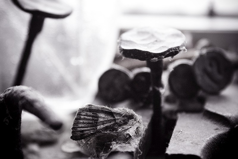Numerous antique nails, one of which has the number twelve written on it. Also, a dead moth in a spiderweb!