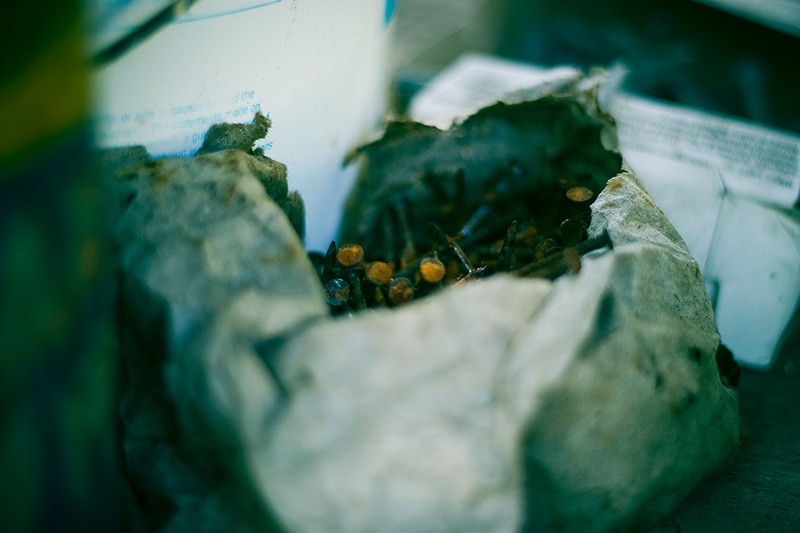 Rusty nails in an old paper bag.