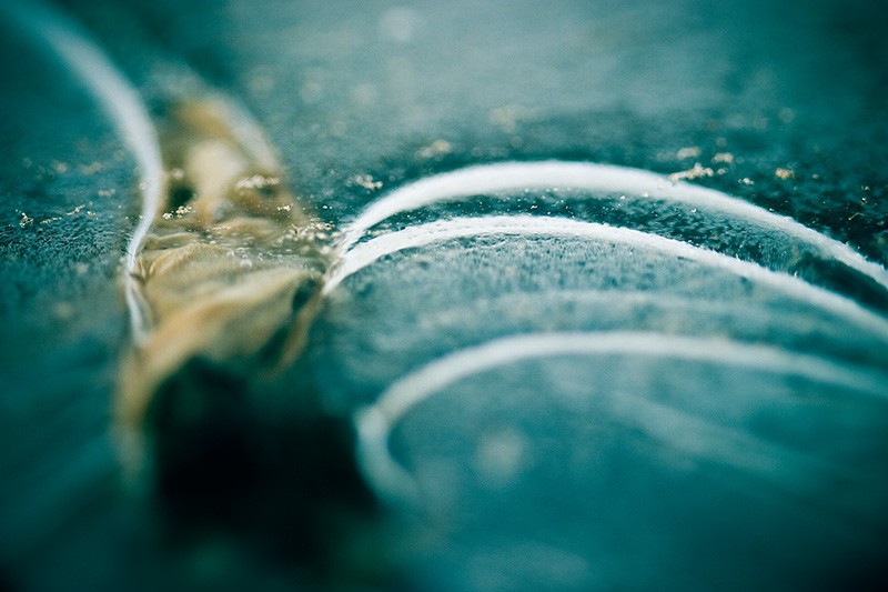 White, curving lines and a leaf inside a thin sheet of ice.