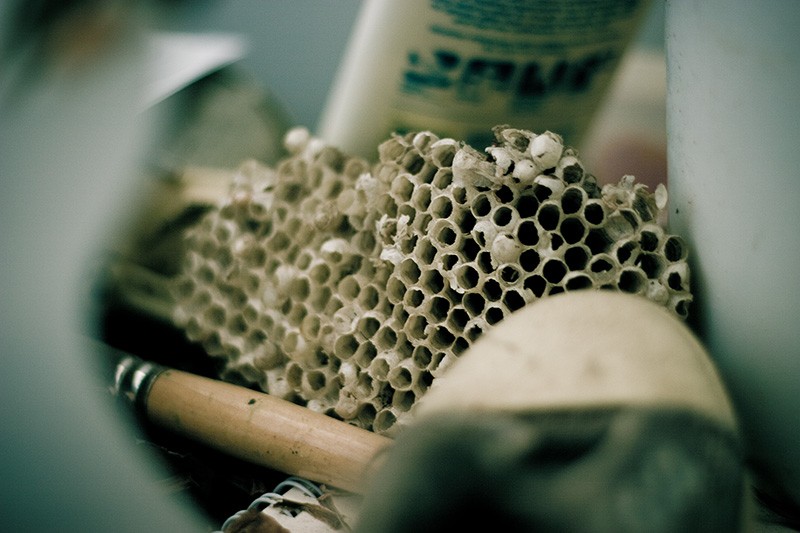 A paper wasp nest surrounded by clutter.