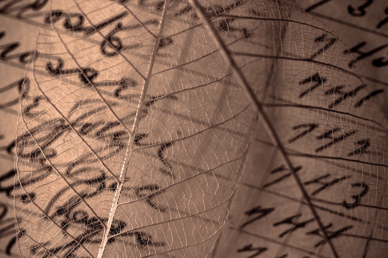Leaf skeletons over a handwritten employee time log.