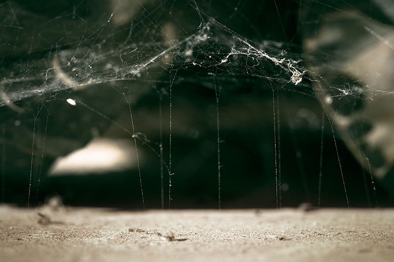 A complex spiderweb with numerous strands tethering it to the surface far below.