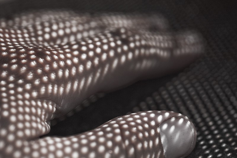 A hand with circles of light projected onto it.