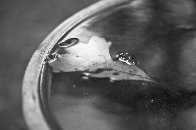 On Reflection…