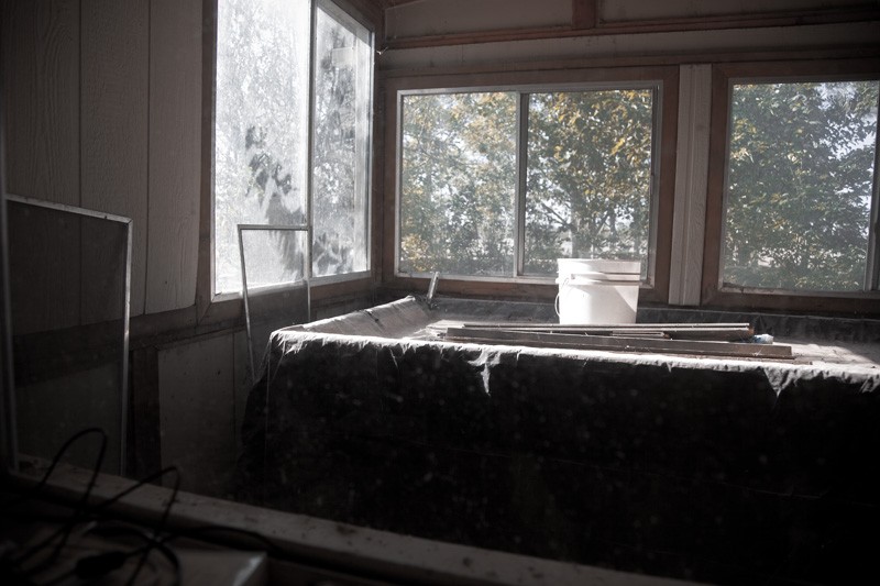 A room filled with various things and light streaming through windows, with leaves on trees outside.