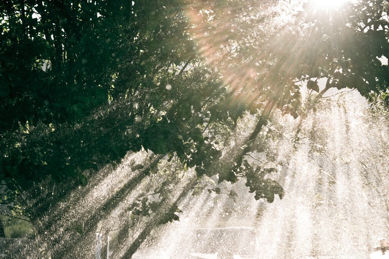 Light streaming through a tree and the water falling through it.