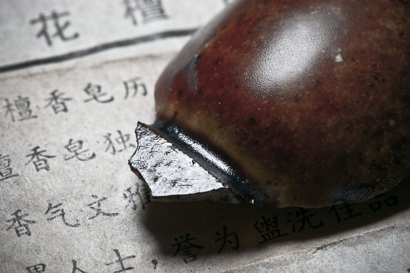 A fake clay beetle.