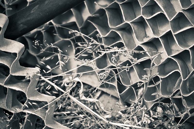 Cardboard packing material in a wave pattern.