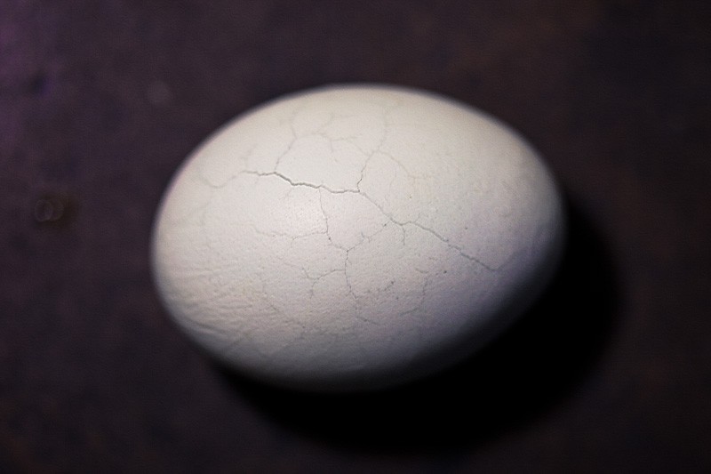 An egg with cracks running through it.