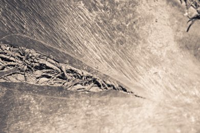 Fissure