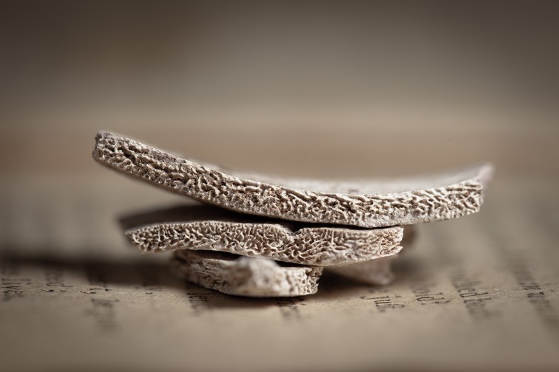 Three small pieces of broken animal bone stacked on a book.