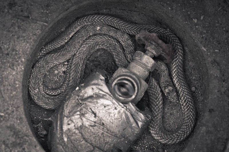 A snake curled up beneath a faucet.