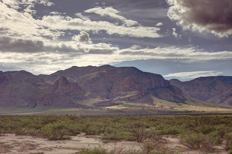 The eastern Chiricahua mountains, green and grassy after being burned during the Horseshoe II fire.