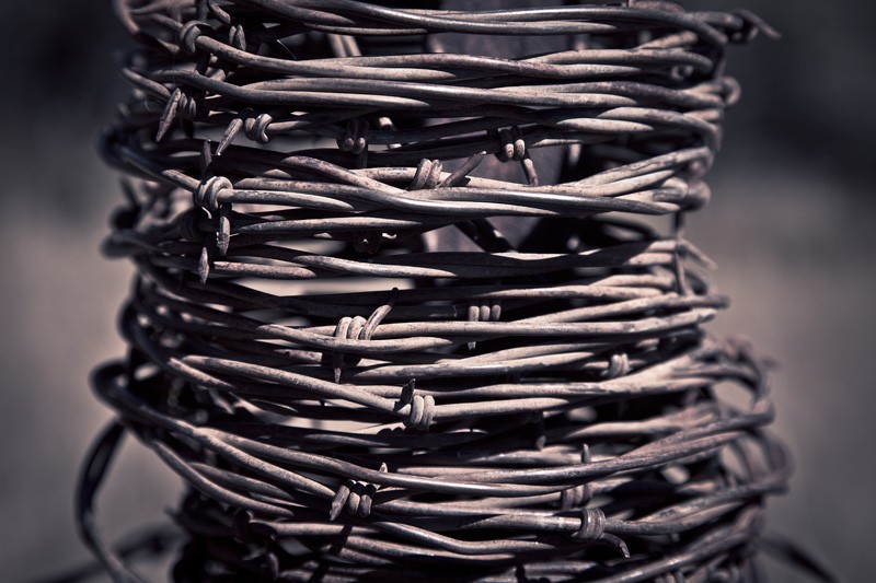 Coiled barbed wire.