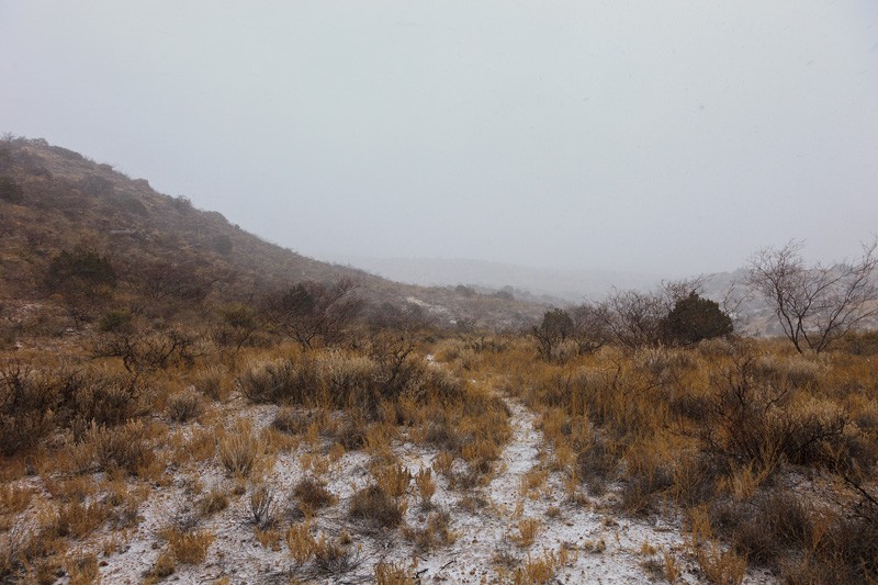 In the middle of a snowstorm at the saddle at the top of Mouser Canyon in the Peloncillo Mountains of New Mexico.