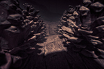 Running the Gauntlet