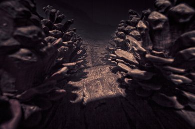 Running the Gauntlet