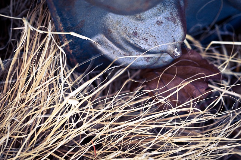 A muffin pan sitting in dead grass.