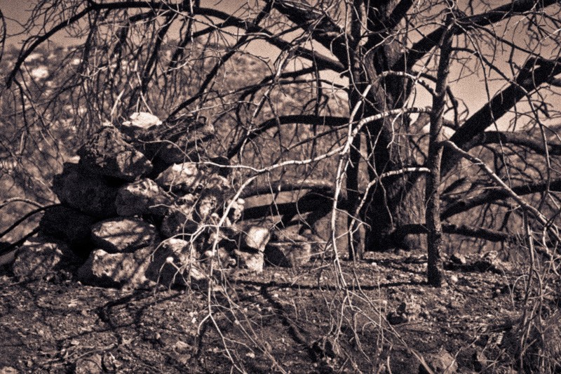 A stack of rocks above an old prospect pit in the Chiricahua Mountains.