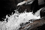 Splash
