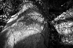 Enveloping