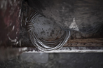 Coiled Up