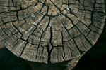 Cracked and Weathered