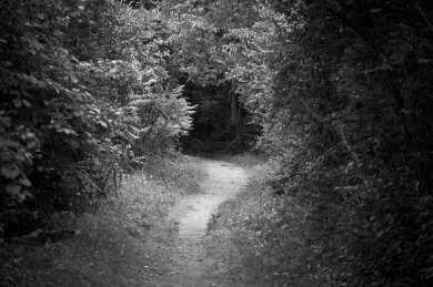 Around the Bend