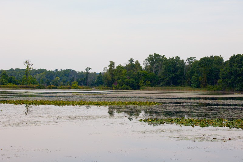 Jackson Hole Lake in Fort Custer State Park.
