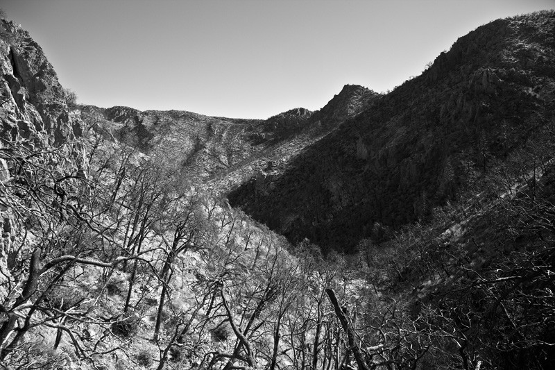 A burned portion of Sulphur Canyon in the Chiricahua Mountains of Arizona.