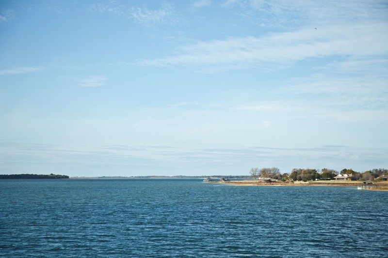 A tiny bird flying over a lake in Texas.