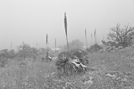Ghosts in the Storm