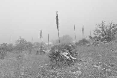 Ghosts in the Storm
