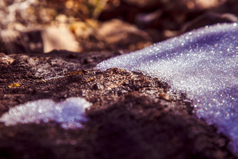 Just snow on a log.