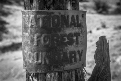 National Forest Boundary