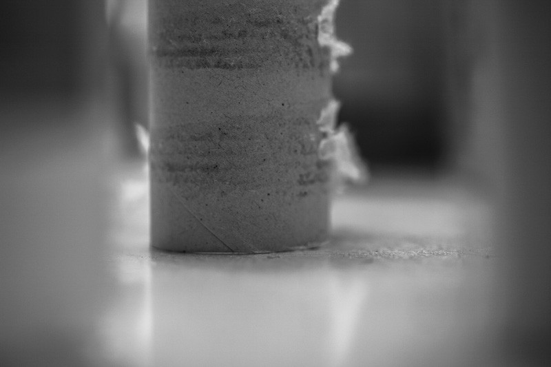 A toilet paper roll.